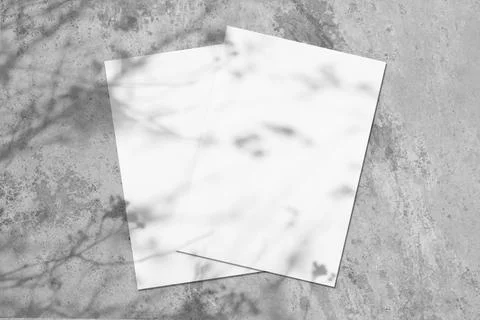 Two empty white rectangle poster diagonal mockups with tree shadow Stock Photos