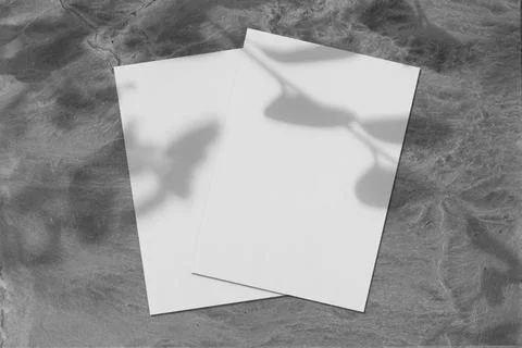 Two empty white rectangle poster diagonal mockups with tree shadow Stock Photos