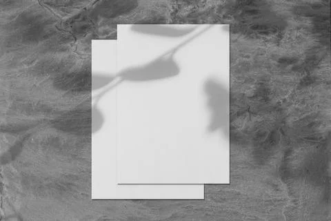 Two empty white rectangle poster mockups with tree shadow Stock Photos