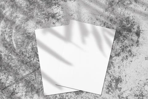 Two empty white rectangle poster diagonal mockups with palm shadow Stock Photos