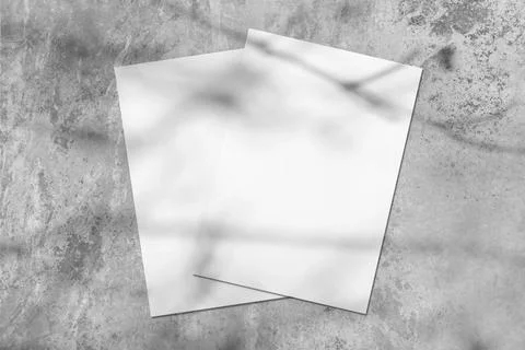 Two empty white rectangle poster diagonal mockups with tree shadow Stock Photos