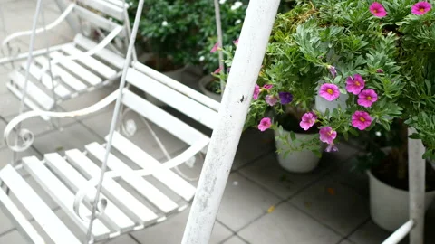 Two empty white swings swaying in a green garden with beautiful pink flowers Stock Footage 134554580