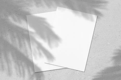 Two empty white vertical poster or card mockups with palm leaves shadows Stock Photos