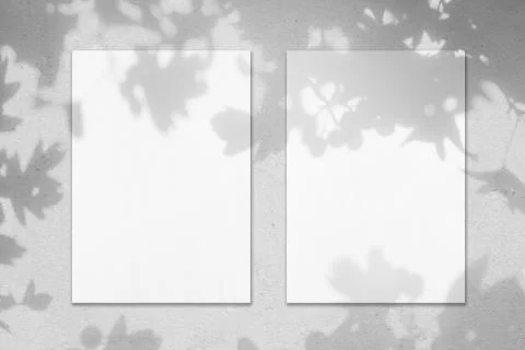 Two empty white vertical rectangle poster mockups with leaves shadows 스톡 일러스트