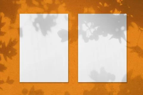 Two empty white vertical rectangle poster mockups with leaves shadows Stock Photos