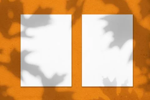 Two empty white vertical rectangle posters with maple tree leaves shadows Stock Photos