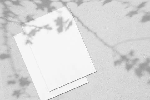 Two empty white vertical rectangle poster mockups with leaves and flowers shadow Stock Photos