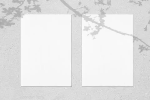 Two empty white vertical rectangle poster mockups with leaves and flowers shadow Stock Photos
