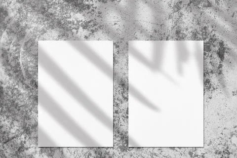 Two empty white vertical rectangle poster mockups with soft palm leaves shadow Stock Photos
