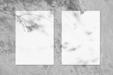Two empty white vertical rectangle poster mockups with soft tree leaves shadow Stock Photos