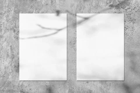 Two empty white vertical rectangle poster mockups with soft tree leaves shadow Stock Photos