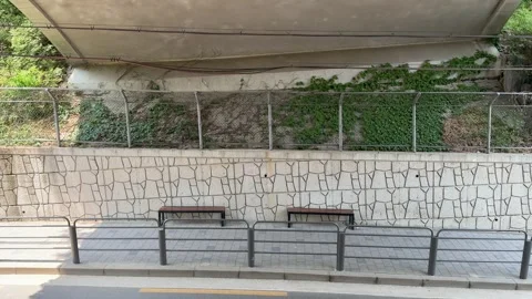 Two Empty Wooden Benches Under Concrete Overpass Wall with Green Vines Stock Footage 338301279