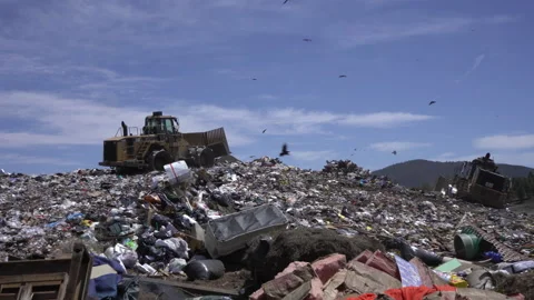 Two end loaders moving trash at a landfill Stock Footage 243660241