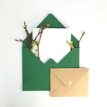 Two envelopes with space for text. Spring invitation. Envelope with twigs and Stock Photos