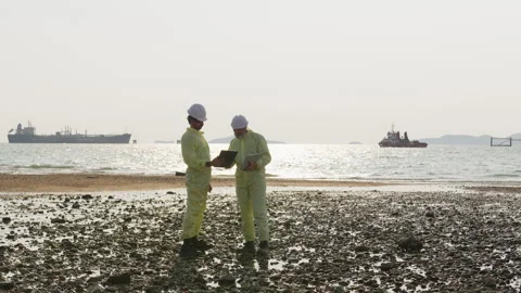 Two environmental engineers in protective gear collaborating on a coastal site Stock Footage 334946361