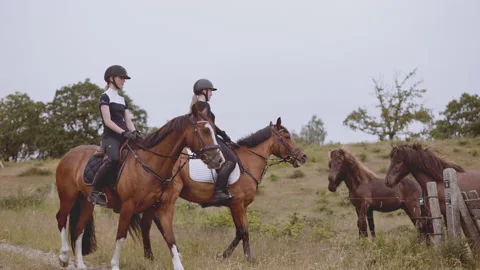 Two Equestrians Mounted in Horses With the View of a Herd of Horses Stock Footage 158855782