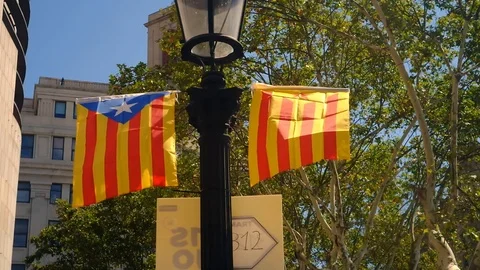 Two Estelada Flags, one in blue and the other in yellow. Stock Footage 100883925