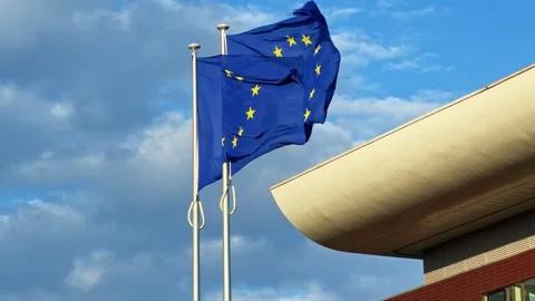 Two EU Flags Strong Wind European Parliament Strasbourg Vídeo Stock 336695121