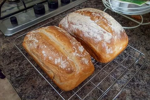 Two expertly baked artisan bread loaves dusted with flour on a cooling rack 스톡 사진