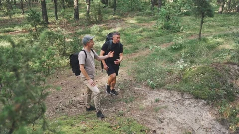 Two explorers examine landscape and plan route, Two hikers assess terrain and Stock Footage 323492741