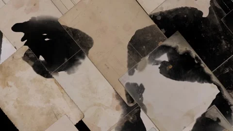 Two faces in profile over layered old paper, ink loop Stock Footage 346768883