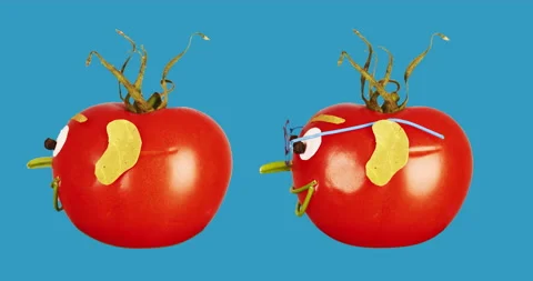 Two faces of tomatoes revolve around on a blue background. Vídeo Stock 140384773