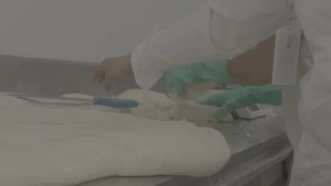 Two factory workers cutting and weighing cheese Stock Footage 222015882