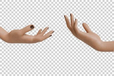 Two fair-skinned hands, palms open and fingers slightly curled Stock Illustration