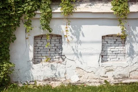 Two false windows on the ancient cracked white wall with parthenocissus on it. Stock Photos