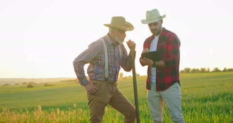Two farmer engineers wearing hat examining plants and controlling water system Stock Footage 157645050