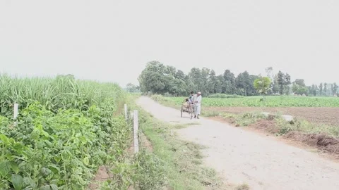 Two farmer with his tricycle  스톡 동영상 133586449