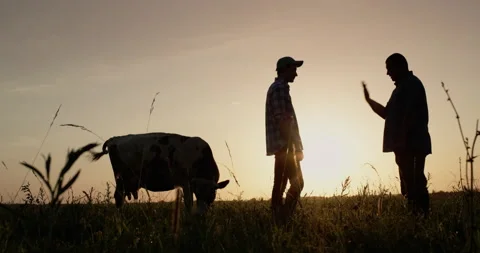 Two farmer men chat in the pasture, then shake hands Stock Footage 170268042
