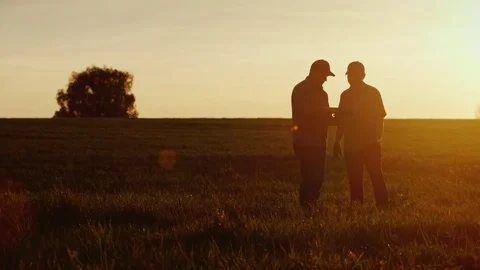 Two farmer workers communicate in the field, use a tablet. At the beautiful Stock Footage 75381113
