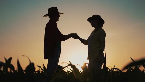 Two farmers in corn field at sunset. Far... | Stock Video | Pond5