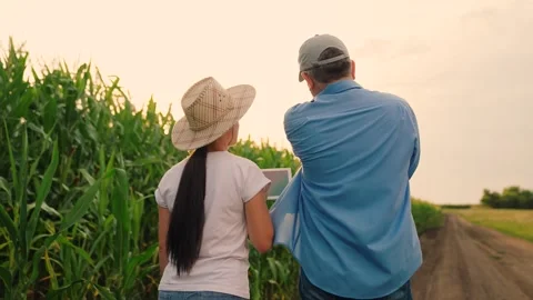 Two farmers with digital tablet inspect corn field, harvest. Digital Stock Footage 307147017