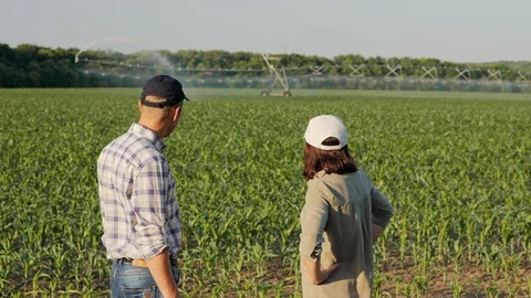 Two farmers discuss irrigation system Stock Footage 123709355