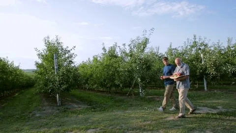 Two farmers go to the orchard 動画素材 78062871