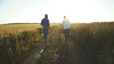 Two farmers going at the fields and emotionally talking between themselves Video stock 121194892