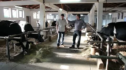 Two Farmers Having Conversation in a Barn Stock Footage