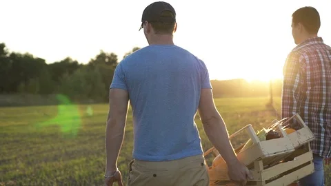 Two farmers keep boxes of organic vegetables Stock Footage 101518462