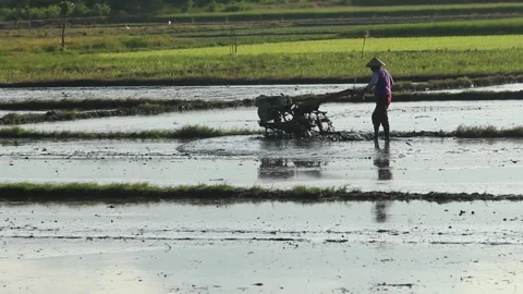 Two farmers plowing fields with Two wheel tractor Stock Footage 205245224
