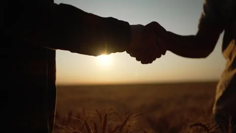 Two farmers shake hands in wheat field at sunset. Silhouette of handshake shows Stock Footage 345958240