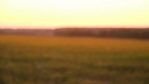Two Farmers shaking hands Stock Footage 95588179