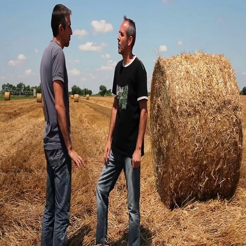 Two Farmers Shaking Hands on Wheat Field During Harvest Stock Footage 69448508