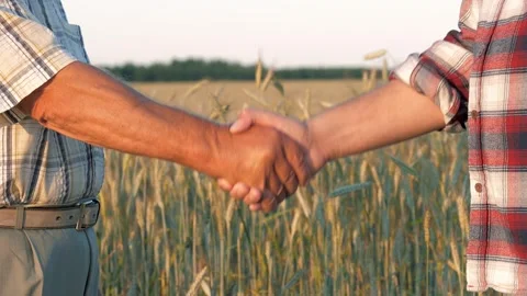 Two farmers shaking hands in wheat field at summer Stock Footage 336271177