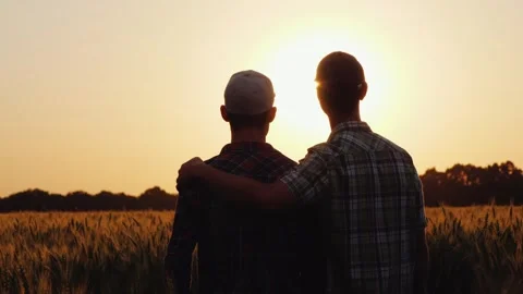 Two farmers standing together in wheat field looking at sunset. Vidéo 334560465