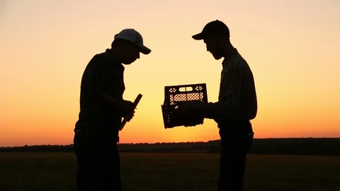 Two farmers talking at sunset plants. On the Sunset. Side view Stockbeeldmateriaal 93690290