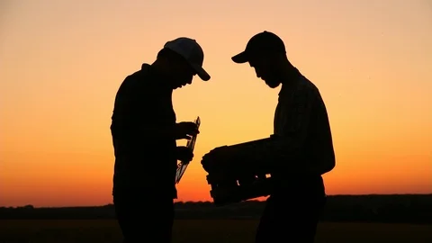 Two farmers talking at sunset plants. Looking at tomato On the Sunset. Side view Stock Footage 93690627
