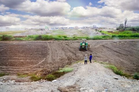 Two farmers thinking about solving a problem in the field. Stock Photos