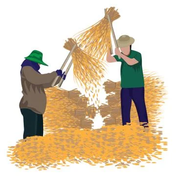 Two farmers thrash rice vector design Stock Illustration